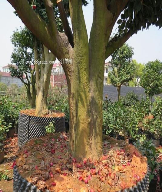 Їr(nng)I(y)(jng)(j)о2023ߌW(xu)g(sh)ӑڌy