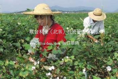 (gu)a(chn)ޙC(j)r(ji) زޙC(j)r(ji) FޙC(j)r(ji)