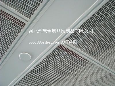 吊頂網裝飾網汽車網