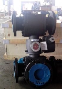 (yng)㽭\(chng)һp(lin)ͨy