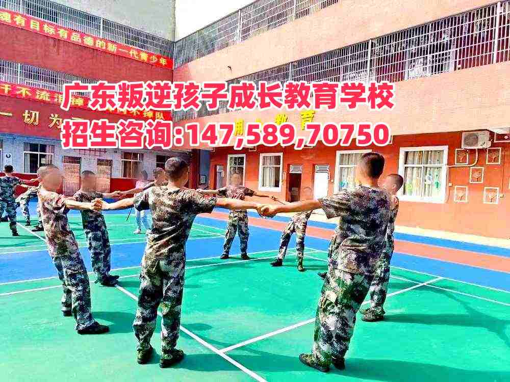 V|L(zhng)W(xu)УԒ14758970750