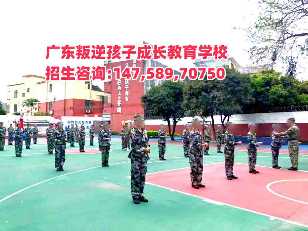 V|L(zhng)W(xu)УԒ14758970750