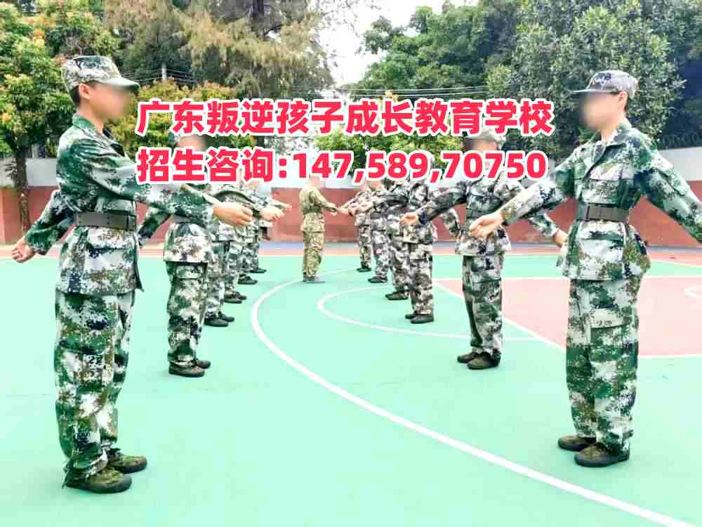 V|L(zhng)W(xu)УԒ14758970750