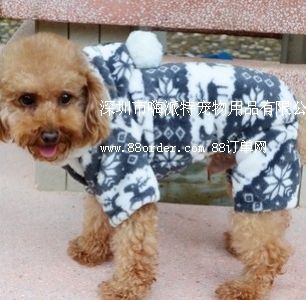 SֱNl(f)ﹷ· b b С¹q-2ɫ