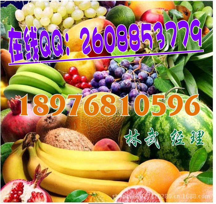 復(fù)合果蔬代餐粉2_conew1