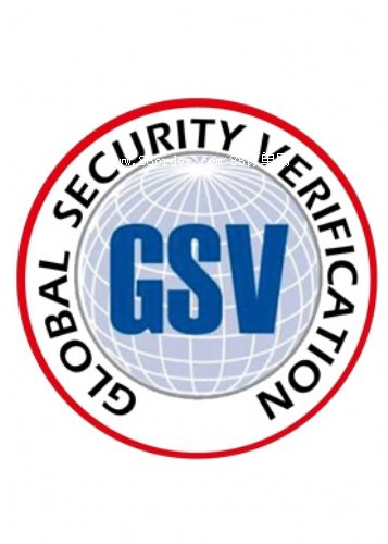 ɽGSV(yn)S(jin)GSVJ(rn)C