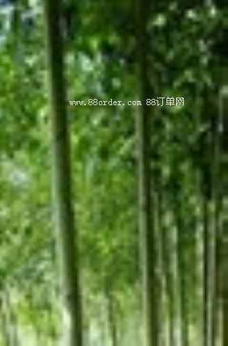 ëחa(chn)(yng)884Këחwëח