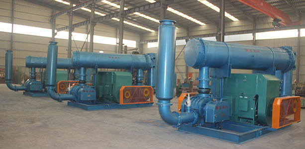 水產(chǎn)養(yǎng)殖羅茨風(fēng)機(jī) 水產(chǎn)養(yǎng)殖羅茨風(fēng)機(jī)