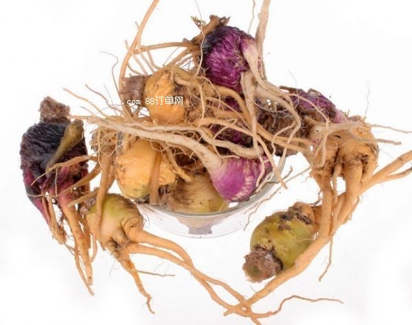 ƷOEM30ml50mlMځϼӹb