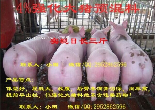 ߷ʄ-i߷Ʒ!ƷC!ȫN6! ˁͰ