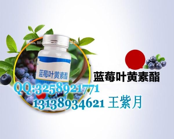 藍(lán)莓葉黃素酯片加工|專業(yè)承接藍(lán)莓葉黃素酯片貼牌加工