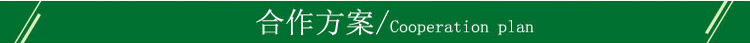 合作方案01