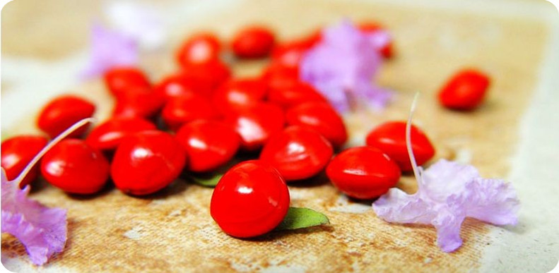 20120514134911_96546