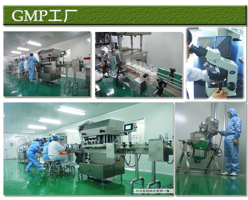 湖南gmp