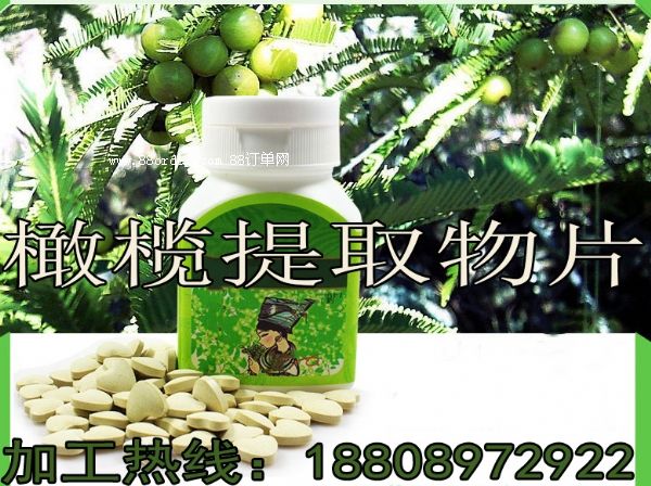 一站式橄欖壓片糖果OEM貼牌廠|橄欖提取物片代加工