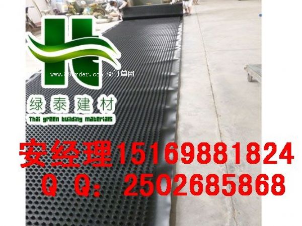 【汕頭綠泰】車庫(kù)頂板排水板→江門蓄排水板廠家
