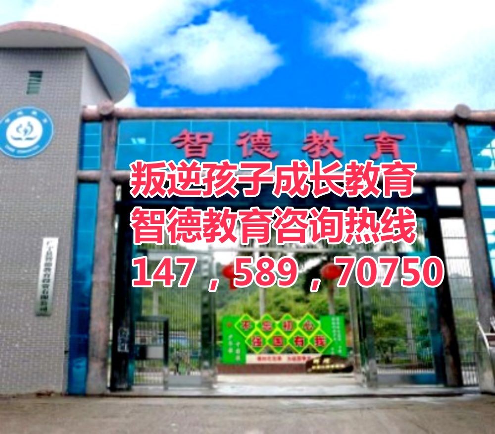 智德教育招生電話(huà)14758970750 智德教育招生電話(huà)14758970750