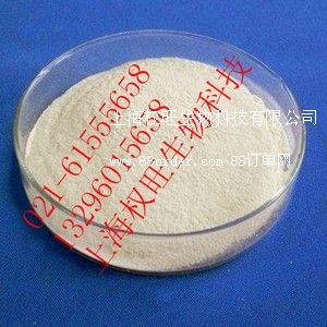 zzN(xio)z͈(bo)r(ji)