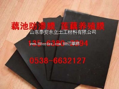 VźطBĤSN۷ˮzr(ji)&B(yng)ֳĤ