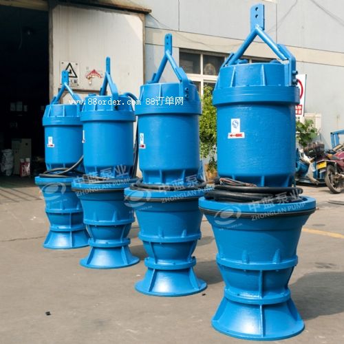 天津中藍(lán)促銷臥式臥用潛水泵