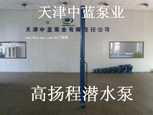 天津高揚程潛水泵