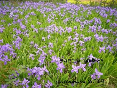 W(wng)j(lu)NSβȡ/ȡ